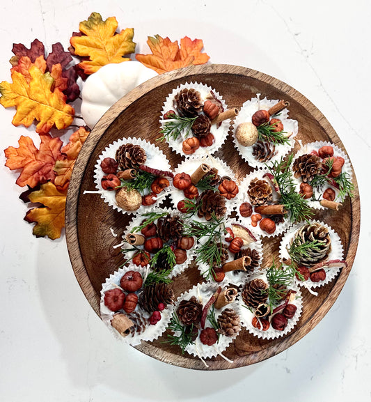 Wax Scented Fire Starters